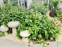 DC's April Botanical Haven