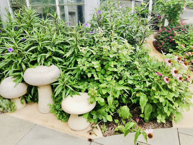 DC's April Botanical Haven