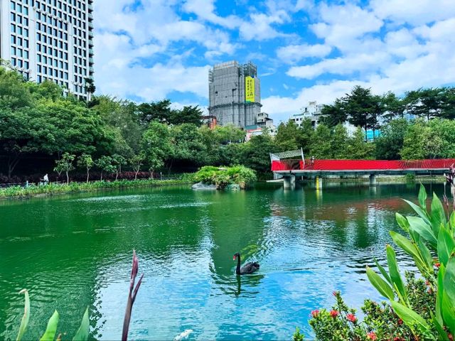 Chill Spot Right in the City