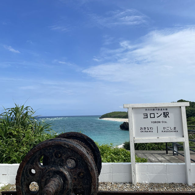 【与論島】絶景の百合が浜に会いに、与論島へ🏝️✨