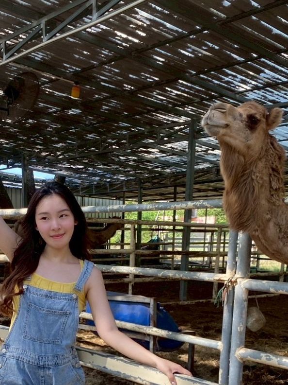 สวนอูฐ ชะอำ (Camel Republic) 🐫🦜