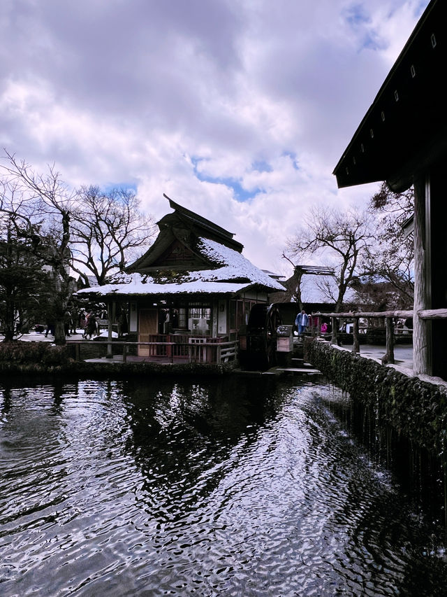［東京旅行］忍野八海-富士山旁的人間仙境☁️