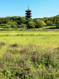Golden Week in Okayama: Southern Attractions You Can’t Miss 🏞️✨