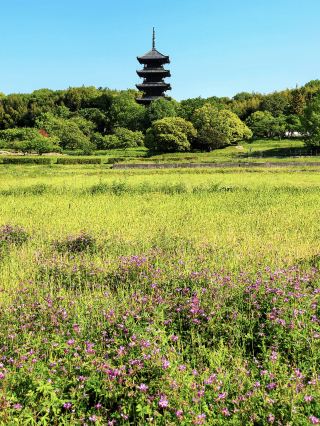 Golden Week in Okayama: Southern Attractions You Can’t Miss 🏞️✨