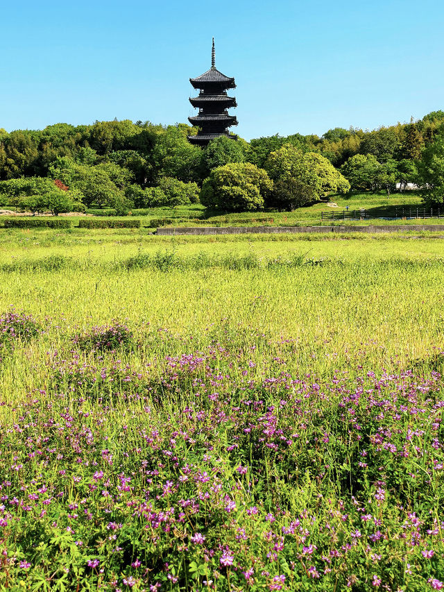 Golden Week in Okayama: Southern Attractions You Can’t Miss 🏞️✨