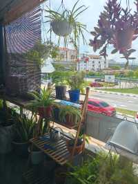 Coffee + Greenery = A Hidden JB Gem