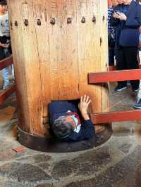 奈良｜5層樓高莊嚴大佛 到聖武天皇蓋的東大寺感受千年歷史