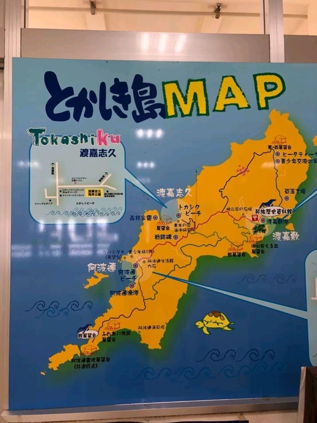 【沖縄】那覇からフェリーで行ける渡嘉敷島