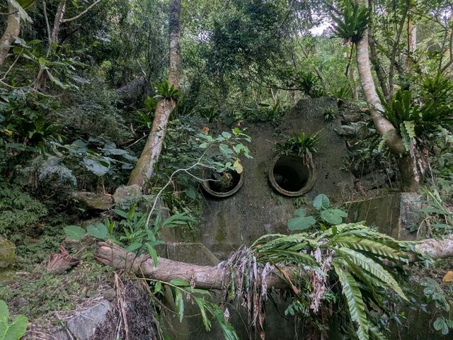 關子嶺大凍山，台南第一高峰小百岳健行