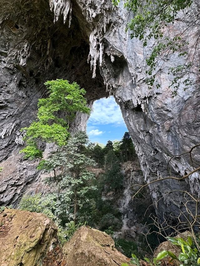 Nature’s Showstopper