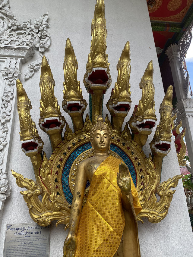 รีวิว: ไหว้พระรับดาวเสาร์ย้ายที่ “วัดนาคปรก” 