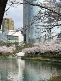 Seokchon Lake- Seoul 