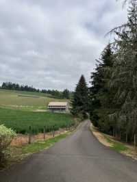 포틀랜드의 작지만 멋진 와이너리, Ardiri Winery and Vineyards!