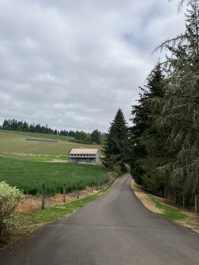 포틀랜드의 작지만 멋진 와이너리, Ardiri Winery and Vineyards!