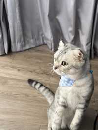 เที่ยวหัวหินพาน้องแมวพักโรงแรม PetFriendly 