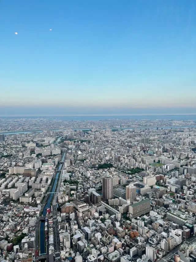 도쿄의 화려한 스카이라인과 문화의 교향곡 - 스카이트리, 카미나리몬, 시부야