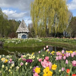 【Hokkaido】Experience Nature, Sake, and Art! A 2-Day, 1-Night Asahikawa Itinerary