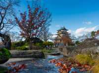 Nagano’s Hidden Blossom Treasure: Takato Castle Ruins