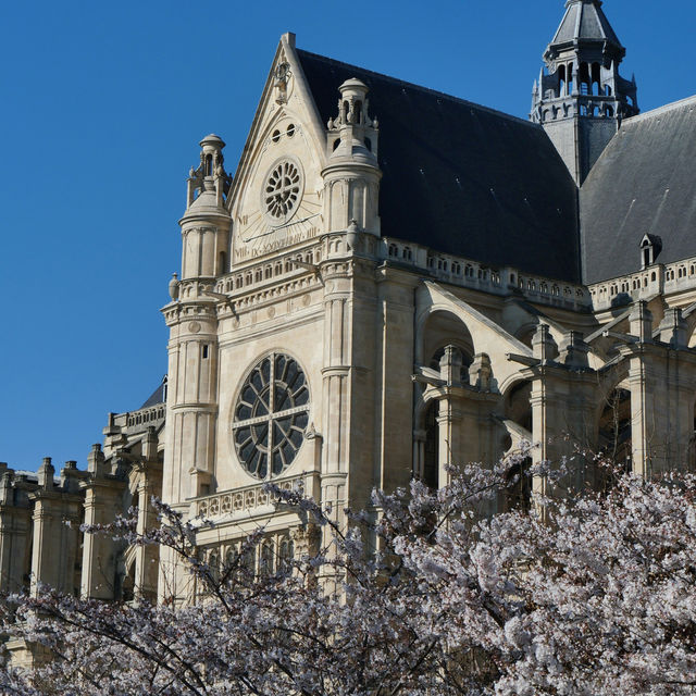 Paris in Bloom: A Picnic under the Eiffel Tower