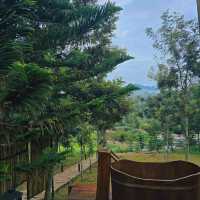 ที่พักกลางป่าสน บ่อเกลือ จังหวัดน่าน