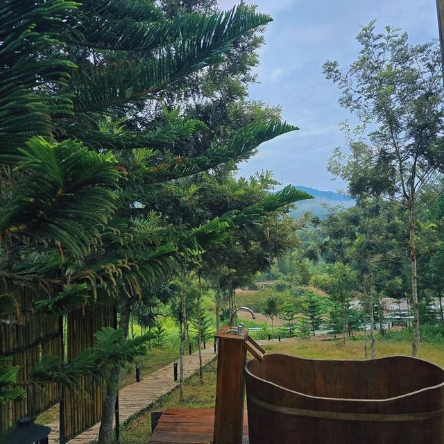 ที่พักกลางป่าสน บ่อเกลือ จังหวัดน่าน