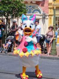 Disney Dreams Come True: A Day at the Kingdom!