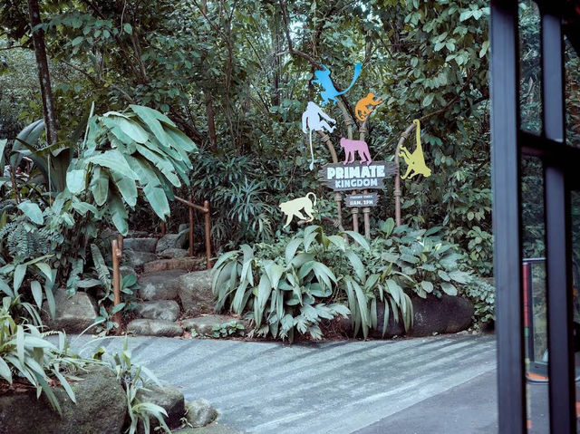 Singapore Zoo