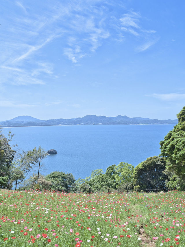 【福岡】博多湾に浮かぶ花の楽園！春色の絶景ピクニック🌼🏝️💖