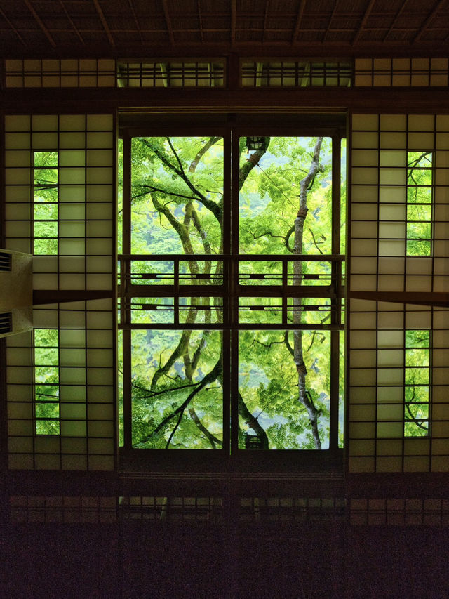 【雨でも楽しめる室内絶景】「水鏡」の絶景に息をのむ🌿💧✨※周辺観光情報付