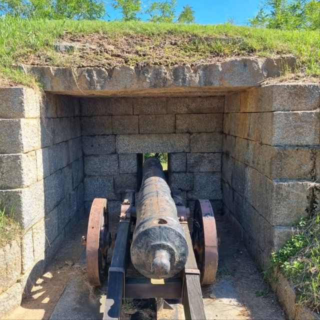 History and Nature All in One