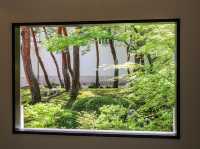 【島根県】 世界が称賛した庭園日本一を誇る美術館『足立美術館』
