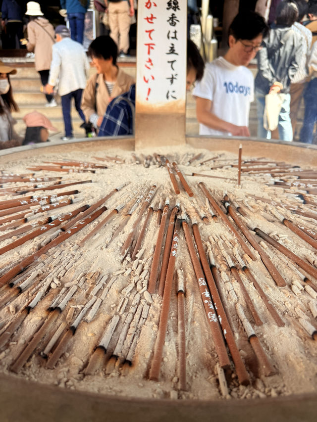 大阪｜到葛井寺看紫藤白藤 1300年11面千手觀音神像近距離參拜