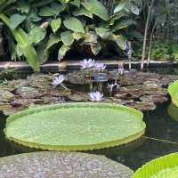 Oxford University & Botanic Garden, Oxford