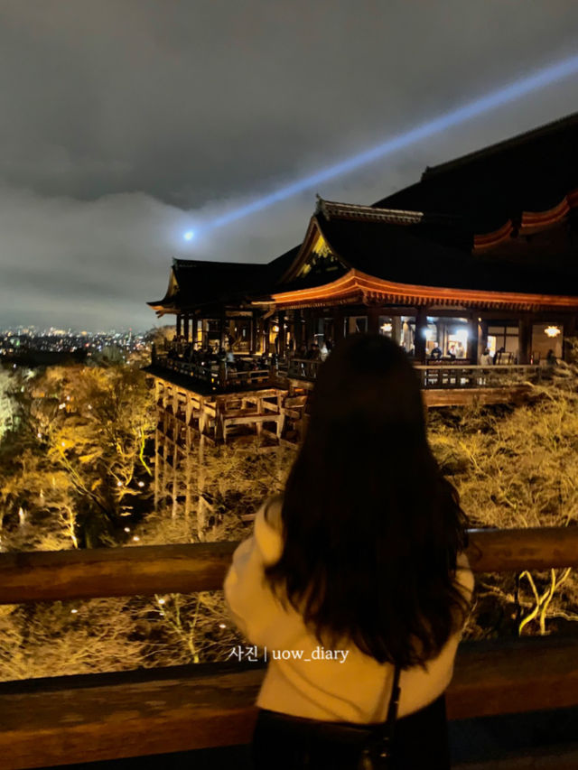 로맨틱한 야경과 이 분위기! 교토여행 밤코스 🌙✨💖