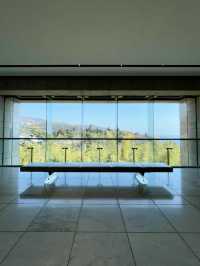 A Day of Art and Beauty in Atami
