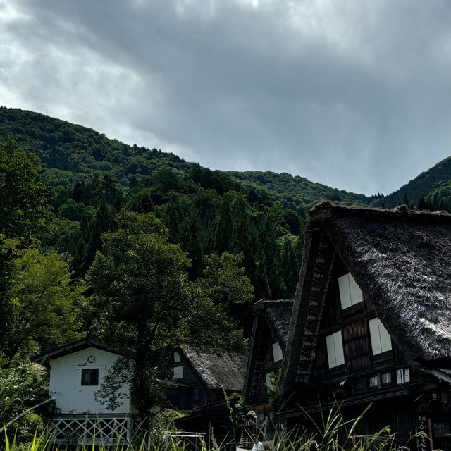 Shirakawa-go in Summer 🌿 | A Real-Life Fairytale Village!