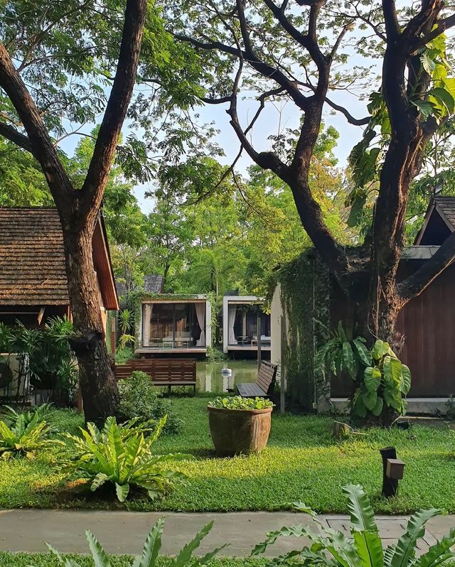 COCOON BKK HOTEL  สถานที่พักผ่อนที่ซ่อนเร้นซึ่งผสม