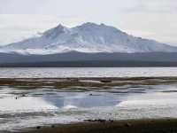 Lauca National Park – Wild Beauty at the Top of the World