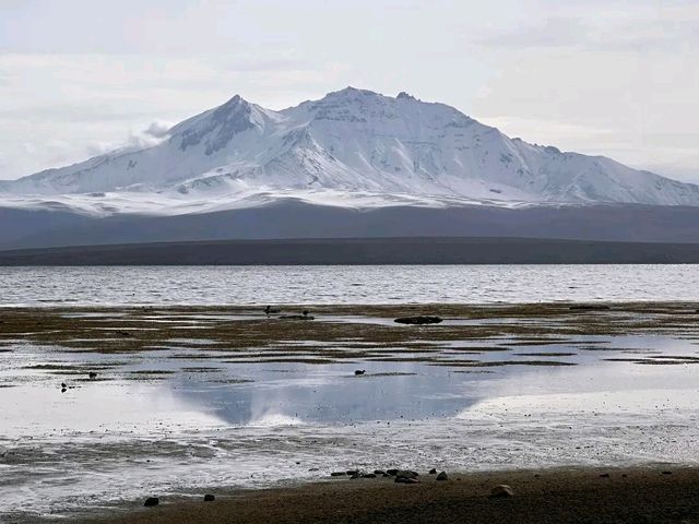 Lauca National Park – Wild Beauty at the Top of the World