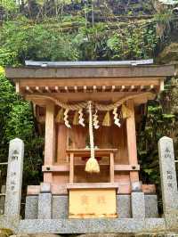 京都｜800年歷史53公尺高大杉木 由岐神社的鎮邪傳說