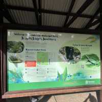 Discover a Hidden Gem: Tamborine National Park Near Brisbane