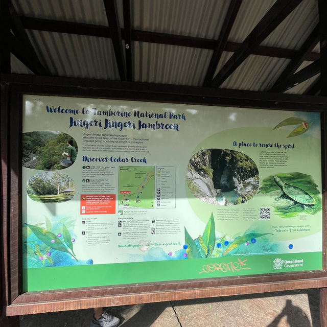 Discover a Hidden Gem: Tamborine National Park Near Brisbane