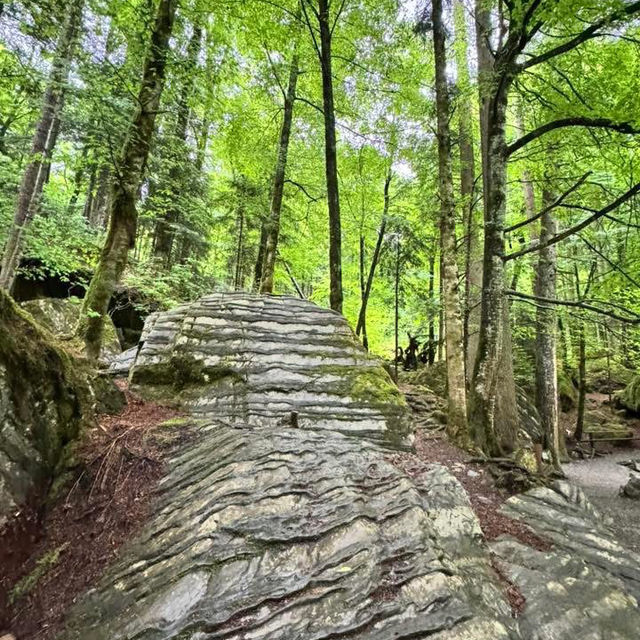 探訪阿爾卑斯山間的秘境～藍湖Blausee