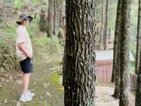 🌲【Goa Pinus Malang：站上峭壁的那一刻，我懂了什麼叫「膽大心細」】😎
