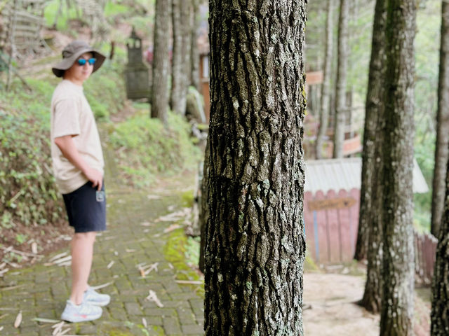 🌲【Goa Pinus Malang：站上峭壁的那一刻，我懂了什麼叫「膽大心細」】😎