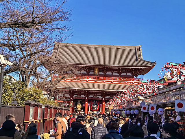 โอซาก้า🇯🇵