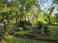 해외여행 부에노스아이레스 대규모 식물원 Jardín Botánico Carlos Thays