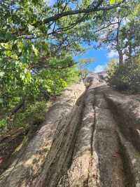 Daemisan Akeobong, Small Mountain, Big Feels