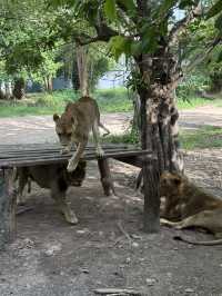 北碧府野生動物園