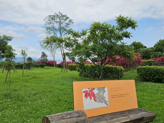 綠色旅遊好去處～冬山河綠舟